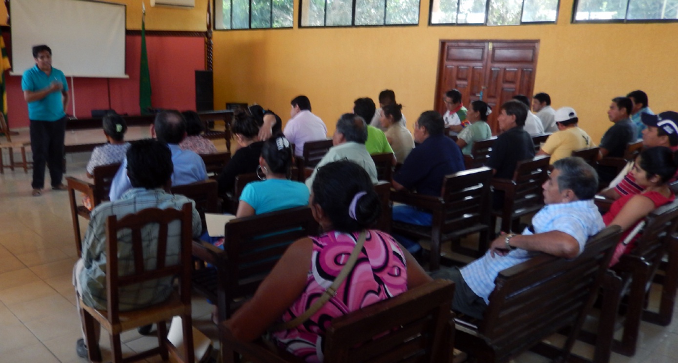 Baures inició proceso de elaboración de la ley municipal del cacao silvestre
