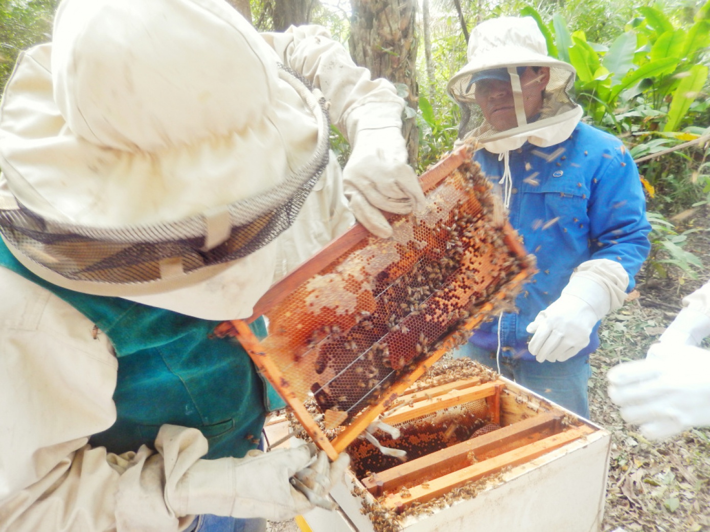 CIPCA y Christian Aid trabajan junto a indígenas para la resilencia y gestión de los recursos naturales en la Amazonía Sur