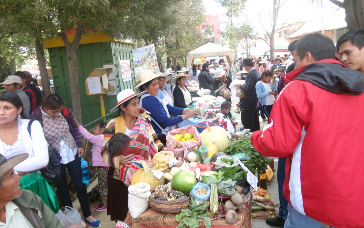 Producción bajo sistemas de riego garantizó productos en la feria agroecológica de Anzaldo