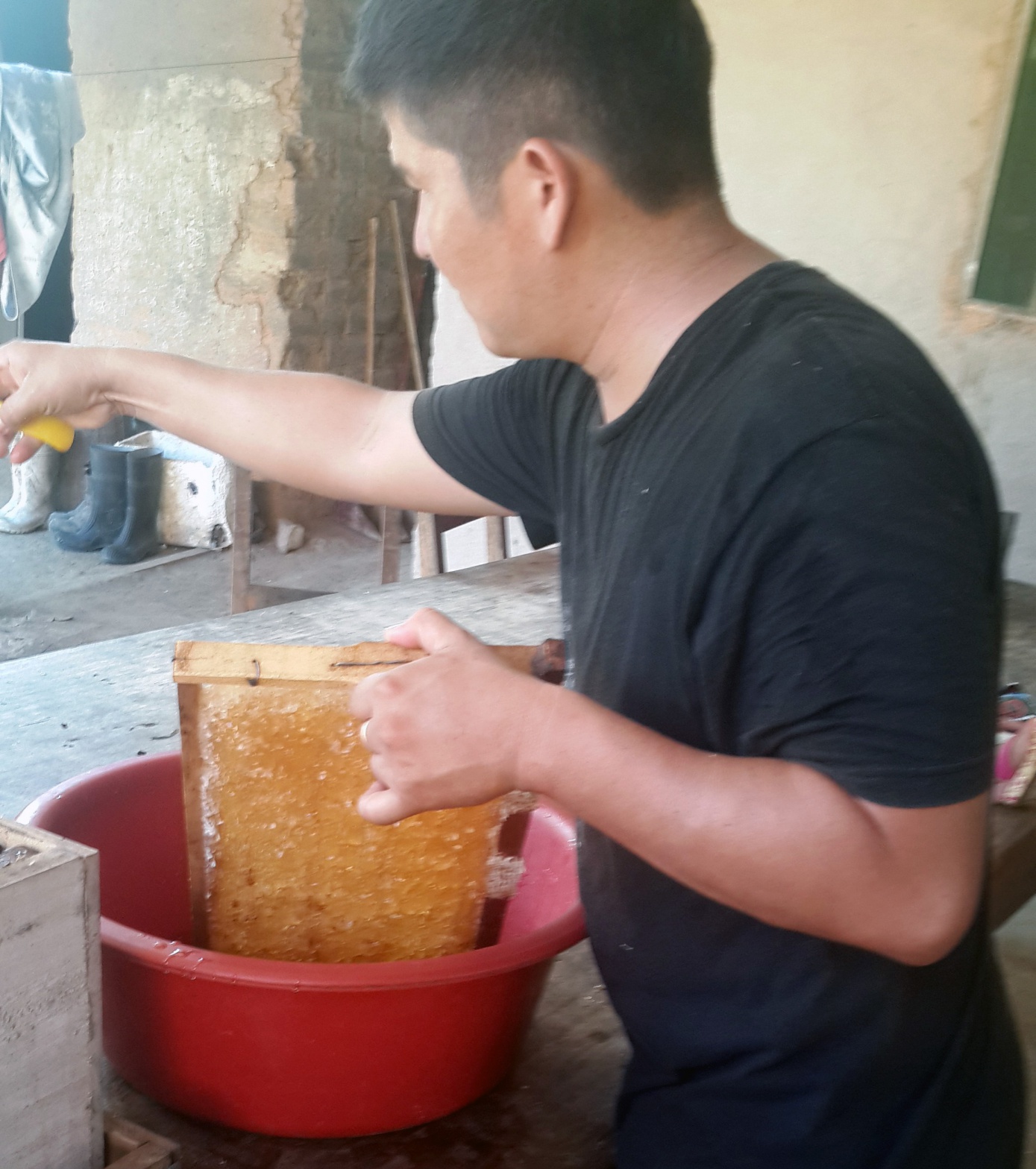 La actividad apícola da sus primeros frutos en comunidades de Baures en Beni