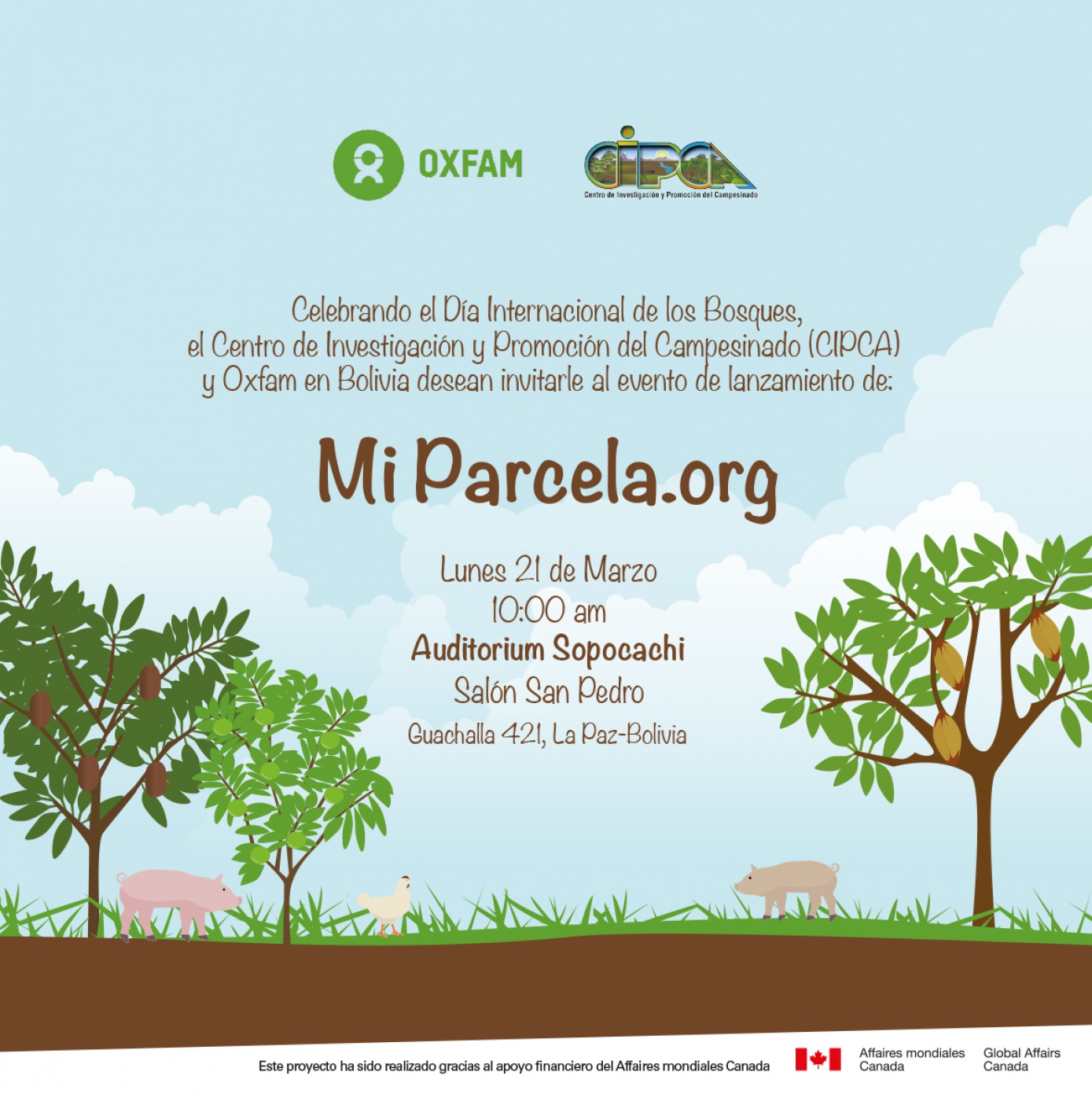  Juego en línea desafía a cultivar y reforestar la Amazonía
