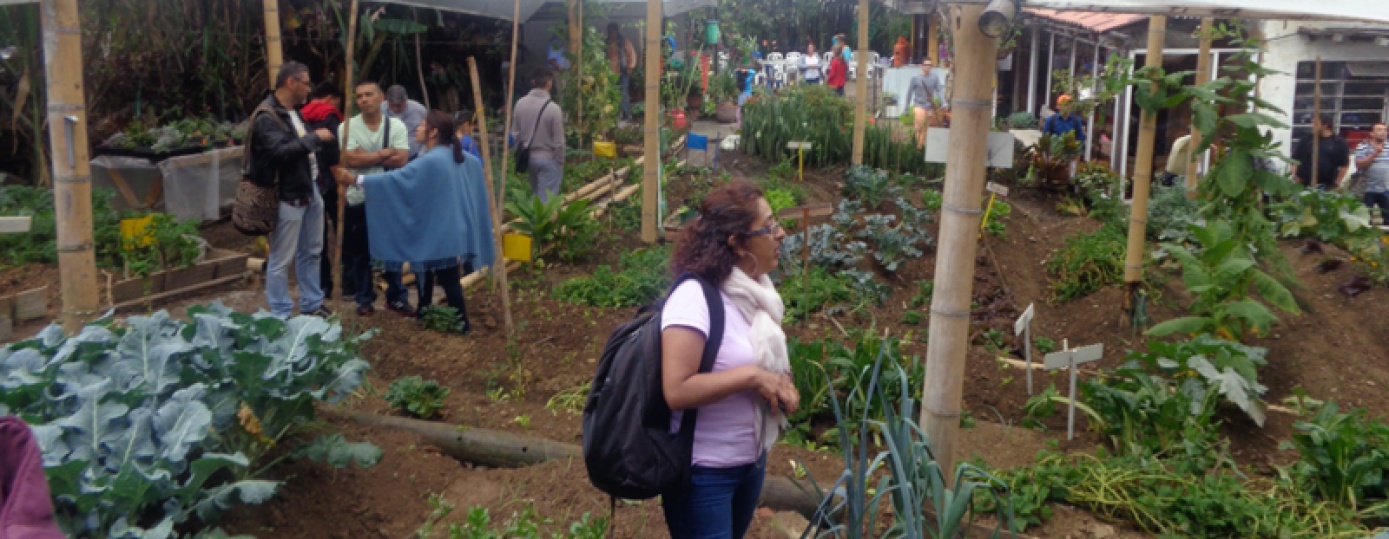 Mujeres actoras principales de la producción agroecológica