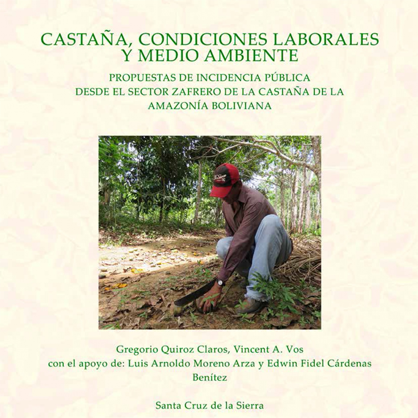 CIPCA publica la investigación “Castaña, condiciones laborales y medio ambiente” con propuestas de incidencia pública