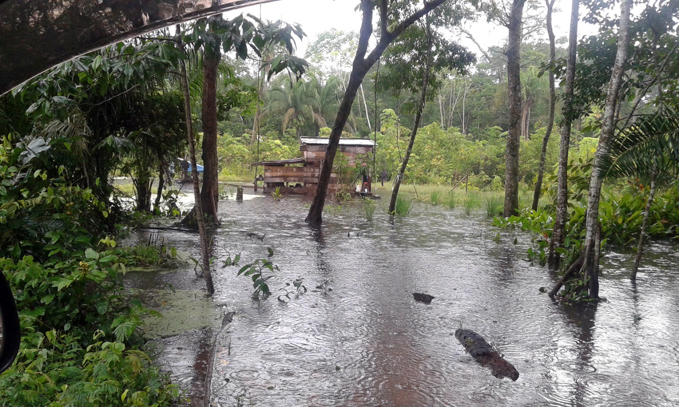 Lluvias y desbordes de los ríos ponen en riesgo la seguridad alimentaria de familias indígenas y campesinas de tierras bajas