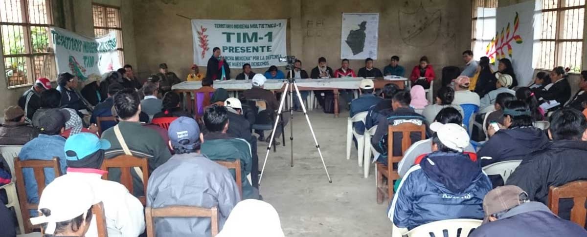 Territorio Indígena Multiétnico anuncia movilizaciones en defensa del bosque Tsimane