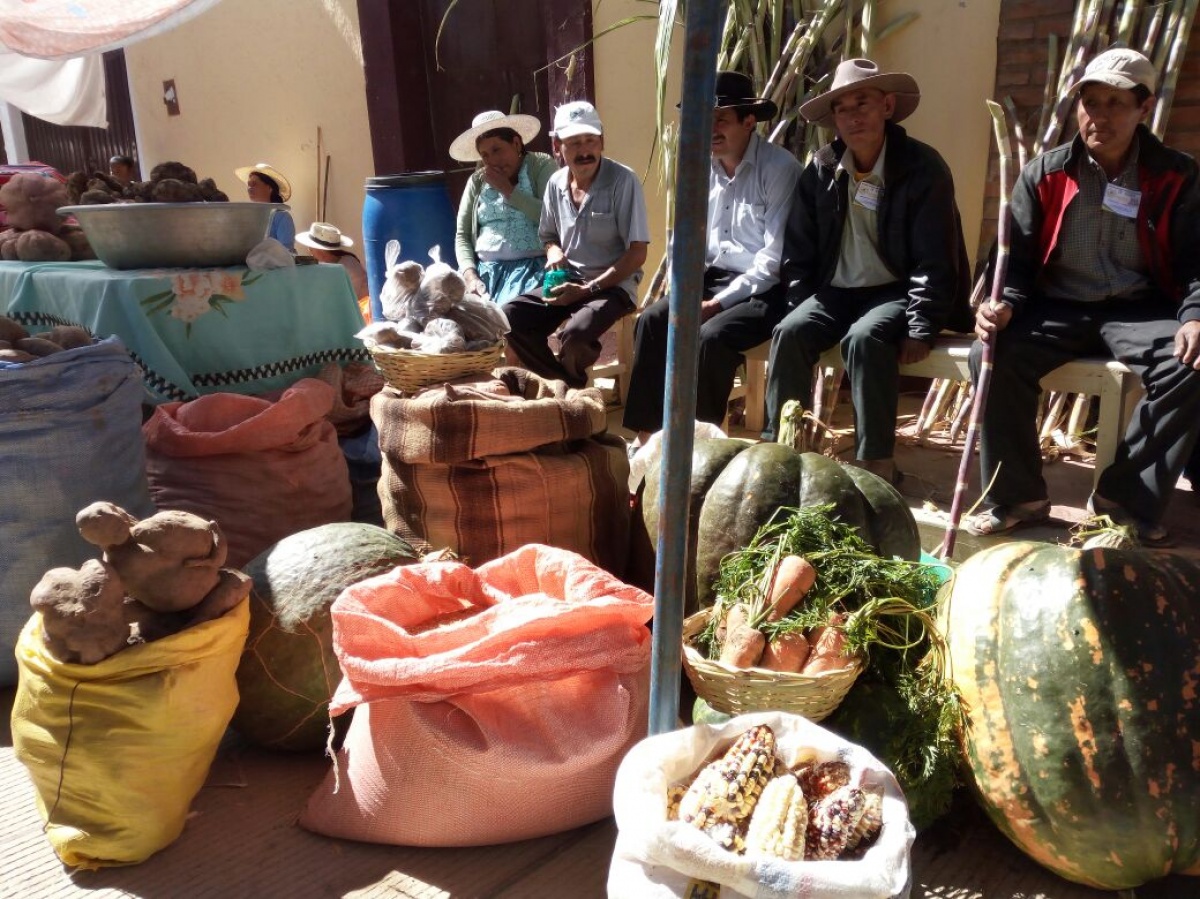 Feria agroecológica y de comidas típica en el municipio de Anzaldo muestra la riqueza productiva de la región