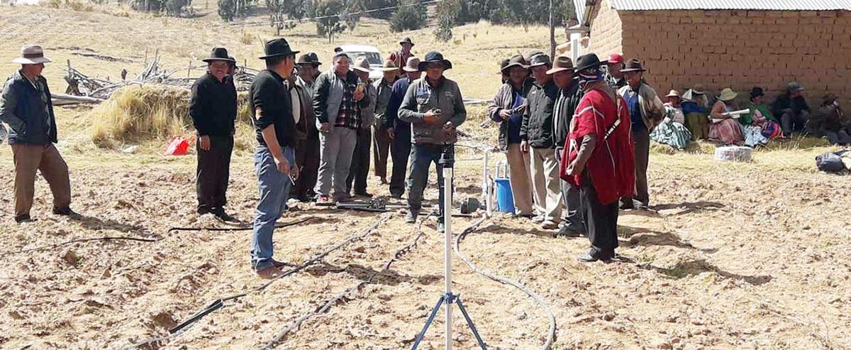 Productores de Taraco implementan sistemas de riego para enfrentar el cambio