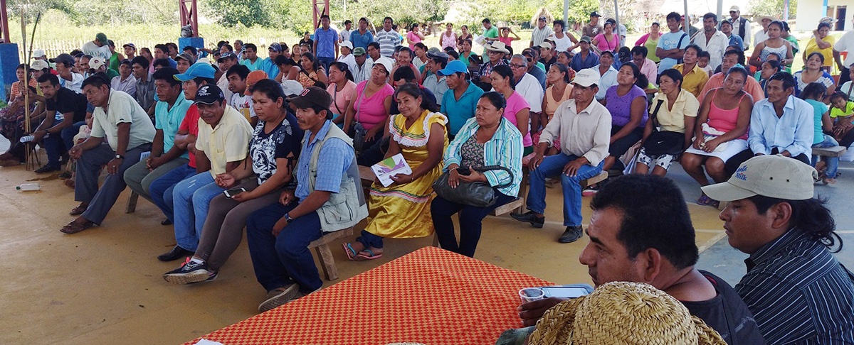 Bosque Tsimane: avanzada intercultural amenaza al Territorio Indígena Multiétnico TIM