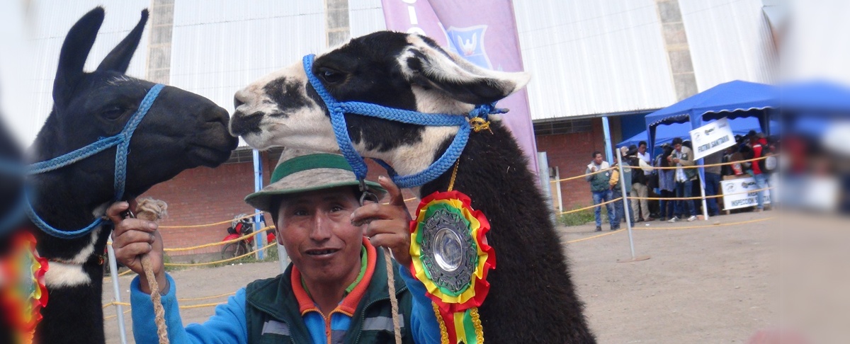 14 países de diferentes continentes participaron en el VIII Congreso Mundial de Camélidos en Oruro