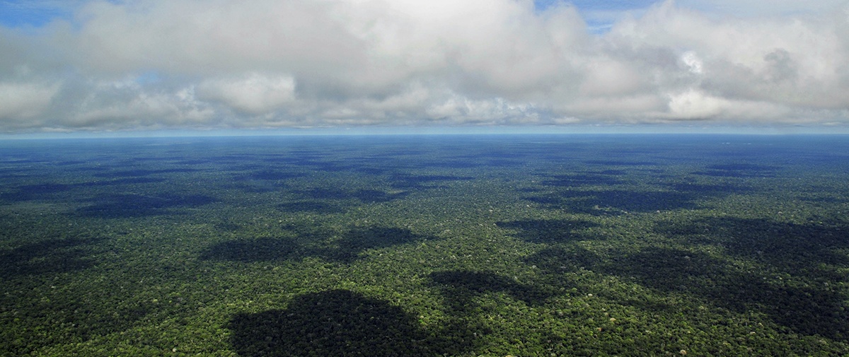 ¿Qué es el Sínodo Amazónico?