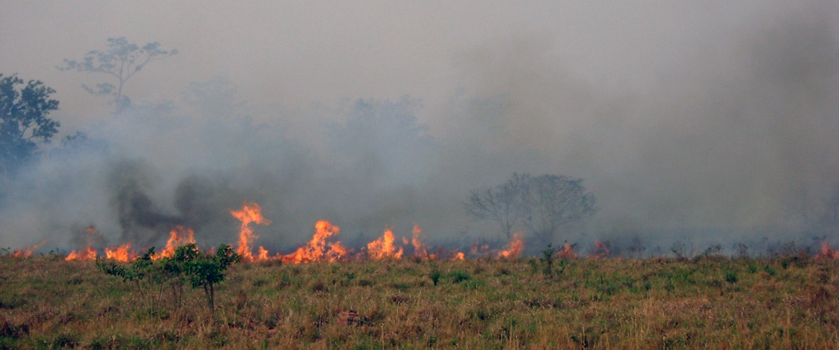 Focos de quema alertan sobre alto riesgo de incendios en la Chiquitania