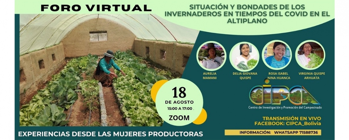 El martes 18 se realizará el foro virtual: Situación y bondades de los invernaderos en tiempos de COVID-19 en el Altiplano, experiencias desde las mujeres