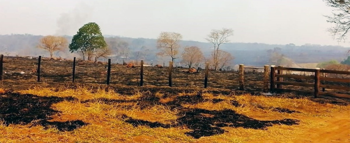 Tribunal Internacional de Derechos de la Naturaleza establece derogación de normas “incendiarias” respecto al caso de Ecocidio en la Chiquitanía