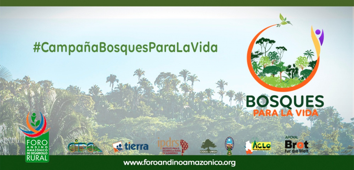 Cuidemos los bosques para proteger la vida: una campaña ante los incendios y otras prácticas
