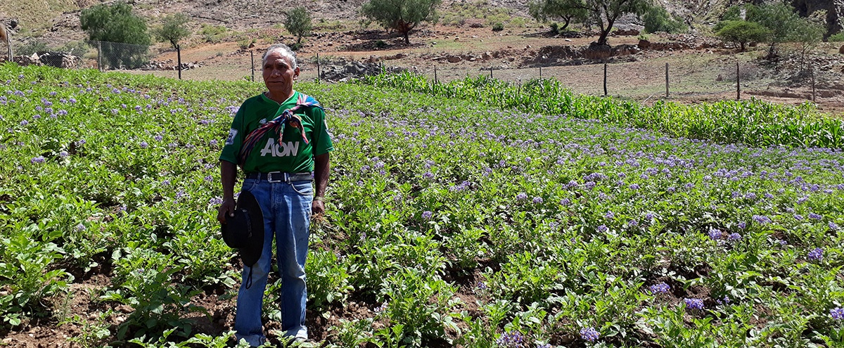 Promueven prácticas agroecológicas a través del intercambio de experiencias, feria y trueque de semillas en Torotoro