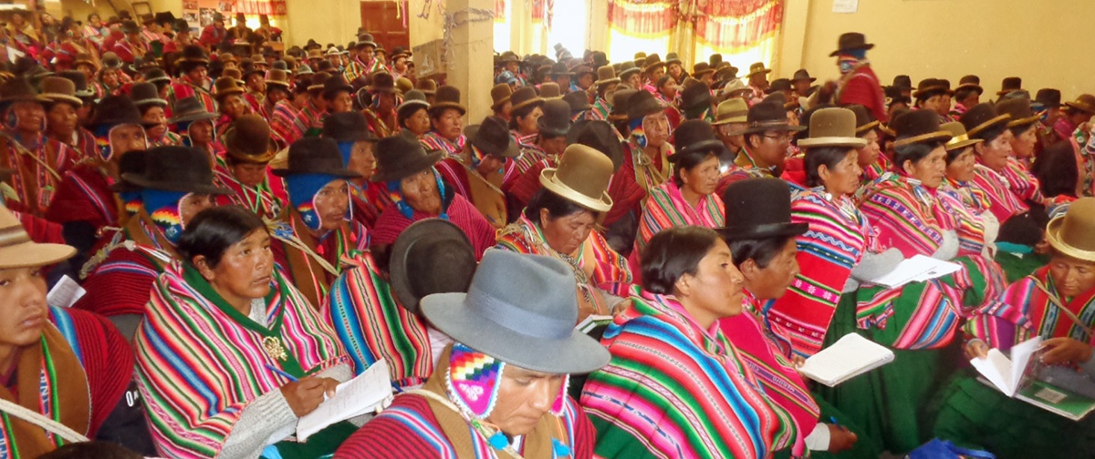 Mujeres originarias campesinas del Altiplano exigen el cumplimiento de sus derechos políticos