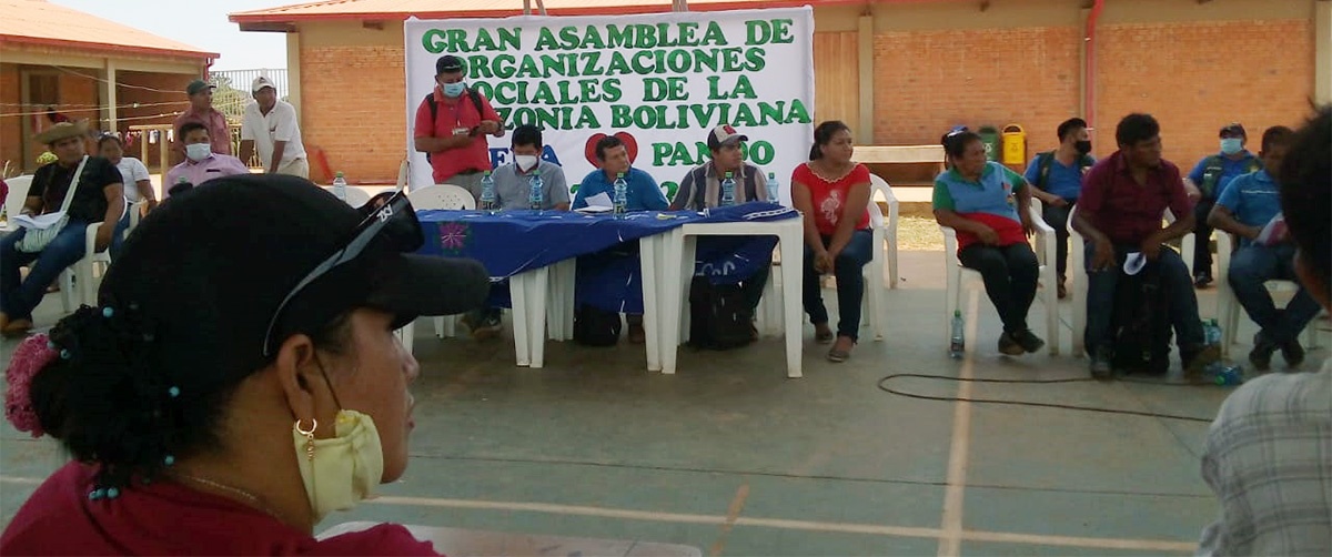 Nace una alianza inter orgánica de la castaña en la Amazonía norte de Bolivia