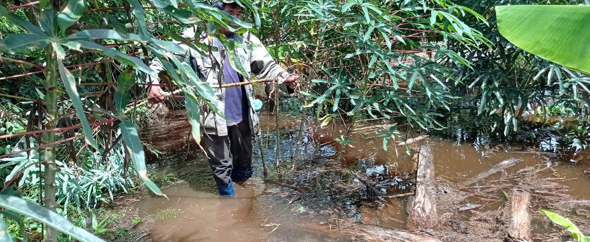 Lluvias e inundaciones en el Beni ocasionan pérdidas agrícolas y ponen en riesgo la salud y seguridad alimentaria de las familias