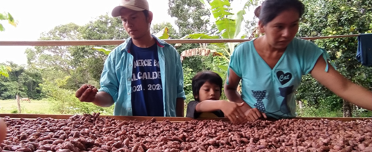 Jóvenes reforestadores del norte amazónico participan de manera exitosa en el Salón del Cacao y Chocolate 2021