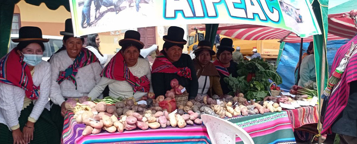 Productores de Calamarca promocionan y comercializan productos agroecológicos.
