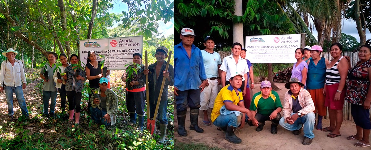 Indígenas y campesinos de Beni avanzan en el establecimiento y manejo de jardines clonales de cacao nativo amazónico.