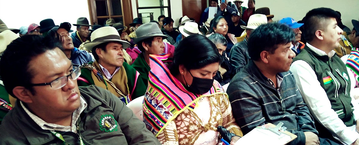 Se aprobó la propuesta de Ley departamental de camélidos de La Paz