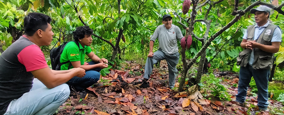 Productores agroforestales bolivianos y peruanos intercambian experiencias