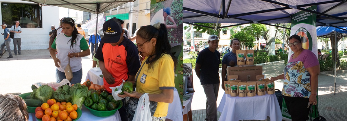 Primera Feria Agroecológica en Cobija une consumidores y productores en ...