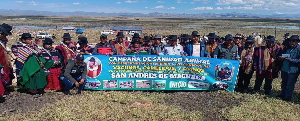 Gobierno Municipal de San Andrés de Machaca promulga ley de Sanidad Animal