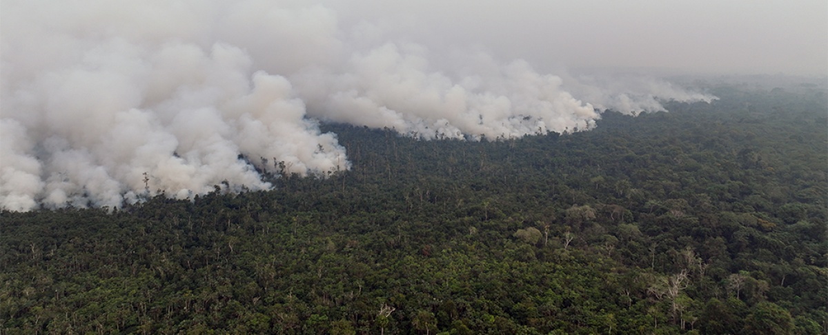 Jóvenes reforestadores lideran la lucha por restaurar la Amazonía boliviana
