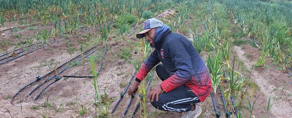 Más cosecha con menos agua: Tecnología y conocimiento para una agricultura sostenible en el altiplano