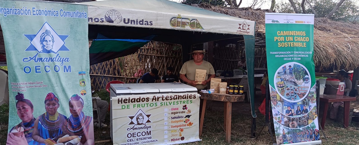 Frutos silvestres del Chaco: sabor, tradición y economía sostenible