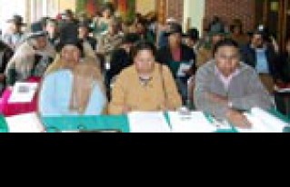 Gobierno Autónomo Municipal de Ayo Ayo aprueba en Grande Proyecto de Carta Orgánica Municipal