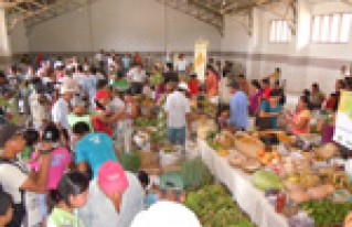 En la Amazonía Sur CIPCA apuesta por la producción sostenible