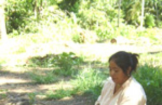 CIPCA socializa Propuesta de Ley Integral de Bosques en Beni, Pando y Santa Cruz
