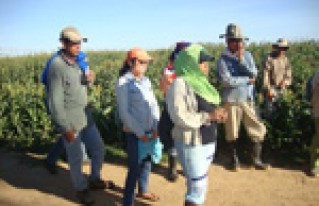Trabajadoras/es asalariados del campo serán parte de la construcción del nuevo Código Laboral
