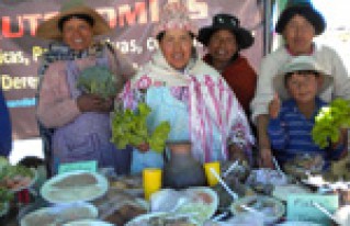 Concejo Municipal de San Andrés de Machaca emitió ley para promover la producción agroecológica