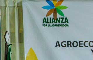 “Para revalorizar la agrobiodiversidad  pedimos a gritos nos puedan salvar de los agronegocios”