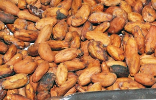 Cacao amazónico de la APARAB clasifica nuevamente en la Premiación Internacional del Cacao en París