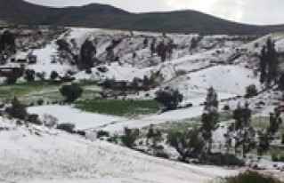 Granizada nuevamente afecta a comunidades del municipio de Anzaldo