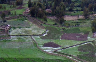 Productores de Bolivia, Perú y Francia compartieron propuestas alternativas de desarrollo económico productivo