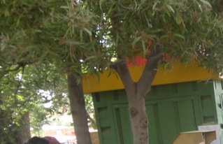 Producción bajo sistemas de riego garantizó productos en la feria agroecológica de Anzaldo