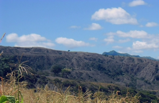  Organización campesina preocupada por los efectos de la sequía en el municipio de Torotoro