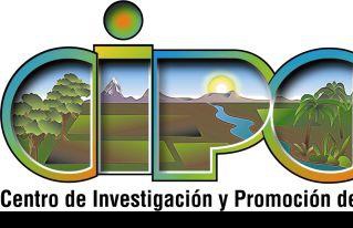 CONVOCATORIA DE PERSONAL