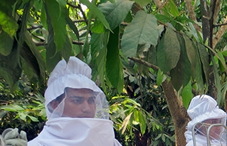 Jóvenes  Reforestadores de la Amazonía logran apoyo de programas del Ministerio de Desarrollo Rural y Tierras