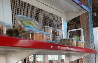 Productores de San Ignacio de Velasco muestran su potencial productivo en la Feria de San Martín