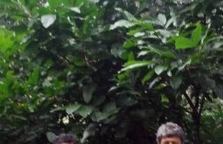 CIPCA cualifica conocimientos, técnicas y habilidades en producción y pos cosecha de cacao 