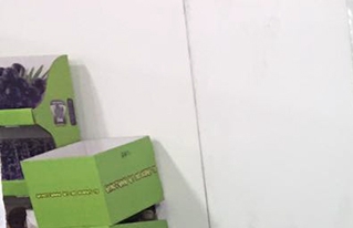 CIPCA dialogará con productores sobre emprendimientos sostenibles con recursos del Bosque en la EXPOFOREST 2018