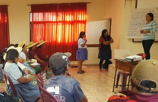 Mujeres y hombres de Norte Potosí y Cochabamba se formaron en liderazgo e incidencia política con componente de género