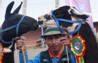 14 países de diferentes continentes participaron en el VIII Congreso Mundial de Camélidos en Oruro